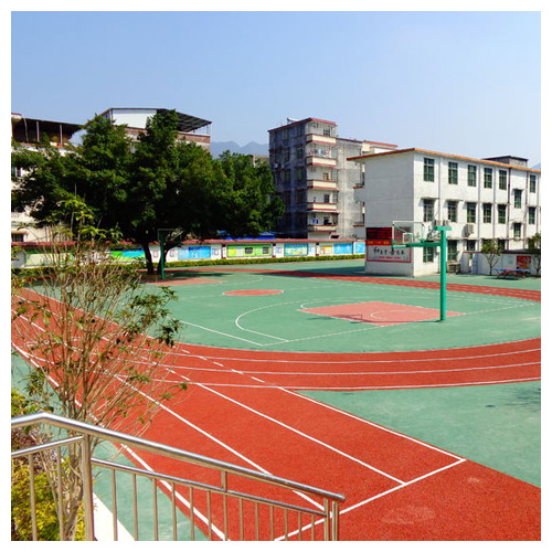 广州雷公坑小学复合型塑胶跑道